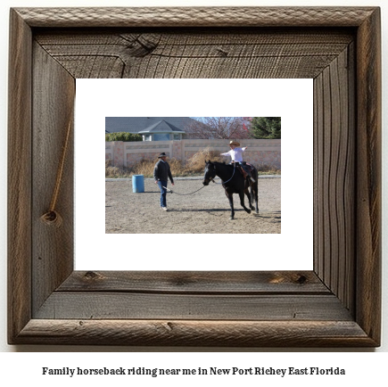 family horseback riding near me in New Port Richey East, Florida